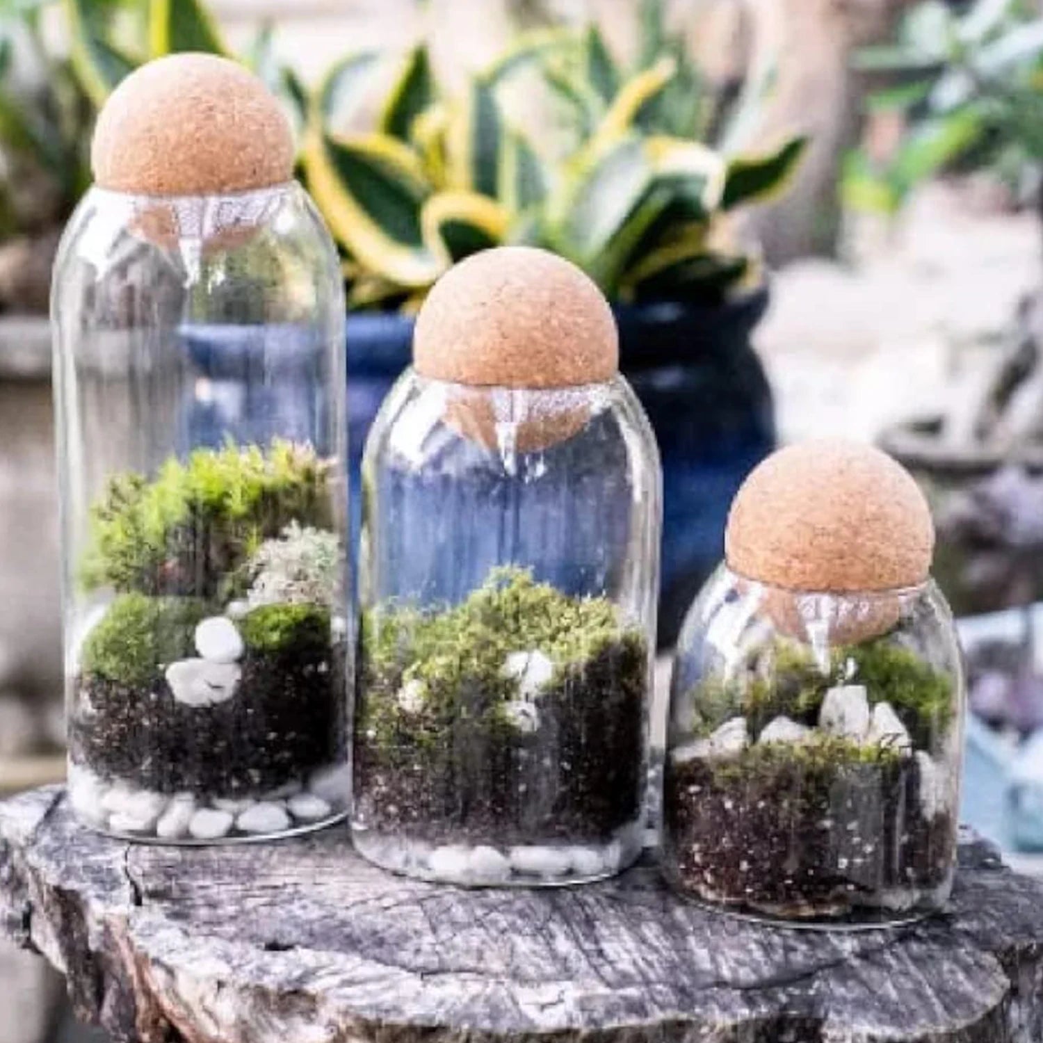 Glass Jar With Ball Cork Lid, 3 Pcs