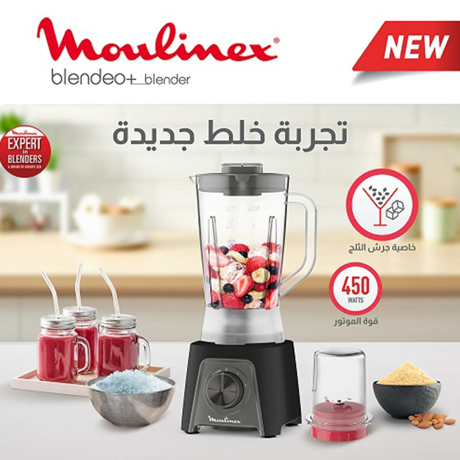 LM4231EG-خلاط مولينكس بليندفورس 800 وات