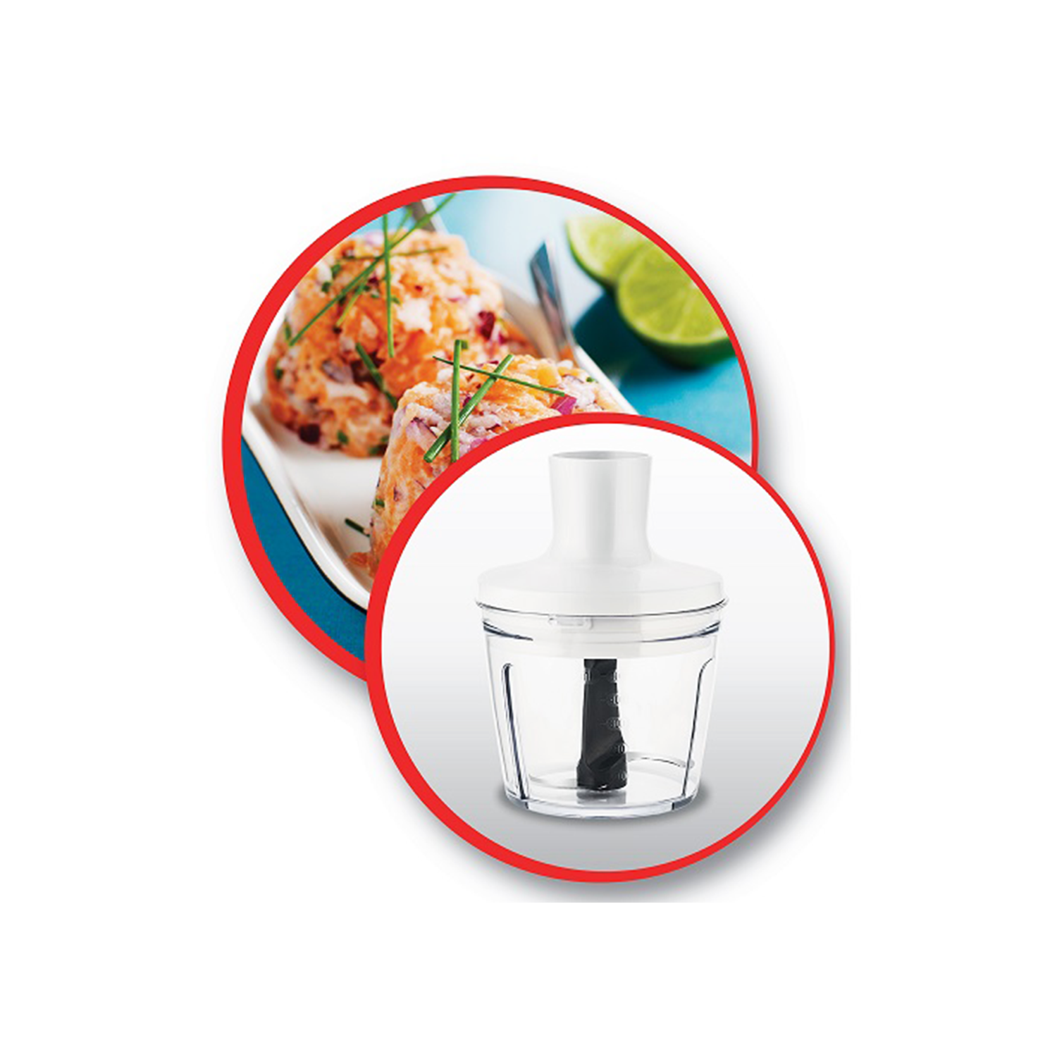 Moulinex Optichef Hand Blender, 1000 Watt, • DD6551EG